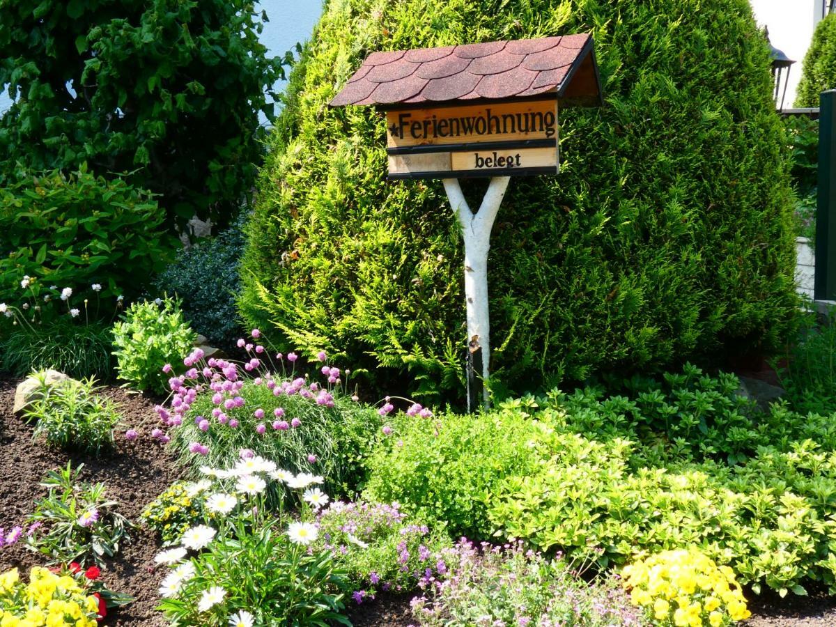Ferienwohnung Grunwald Kurort Rathen Buitenkant foto